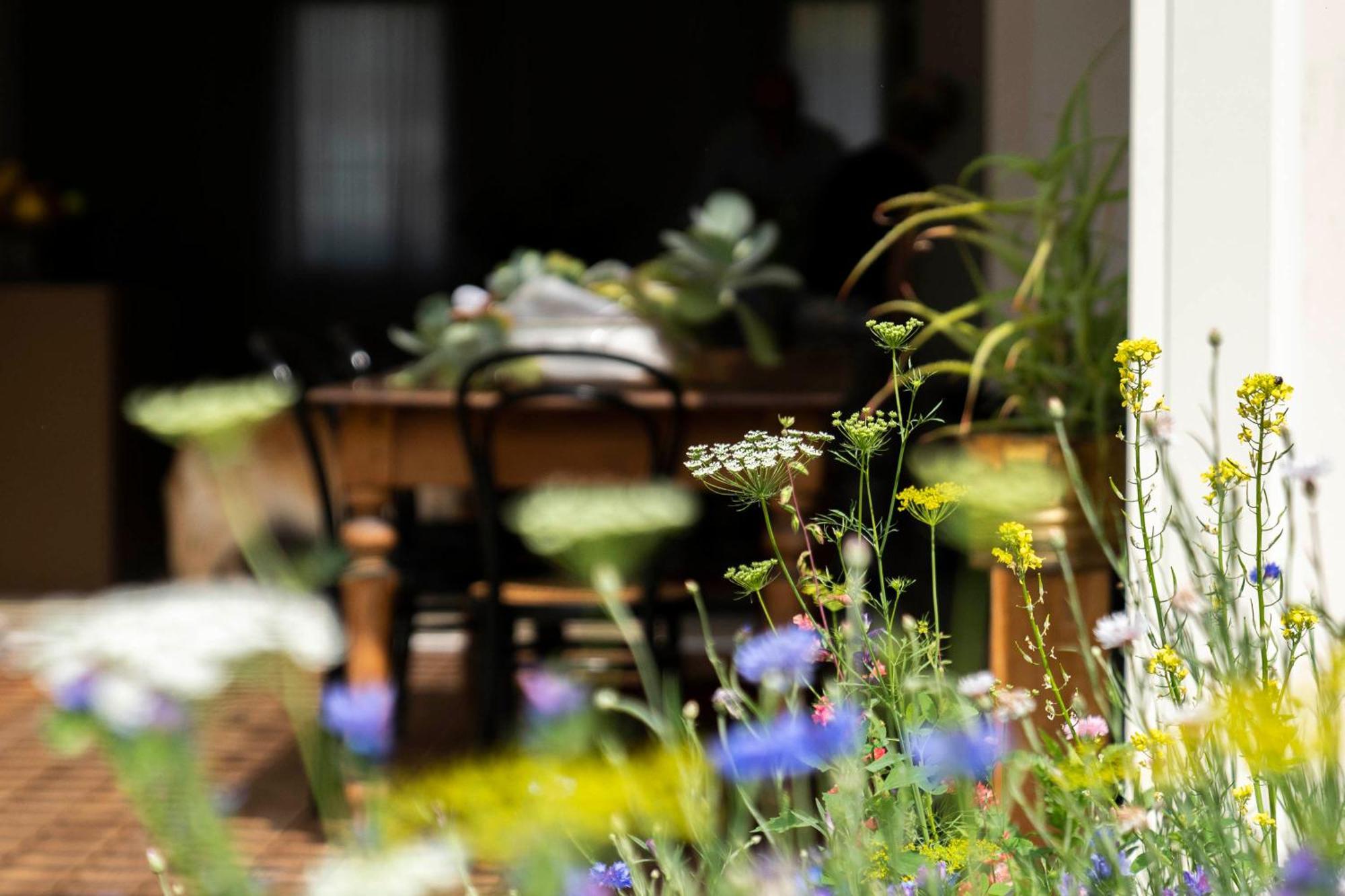 Bed And Breakfast Canalgrande Міра Екстер'єр фото
